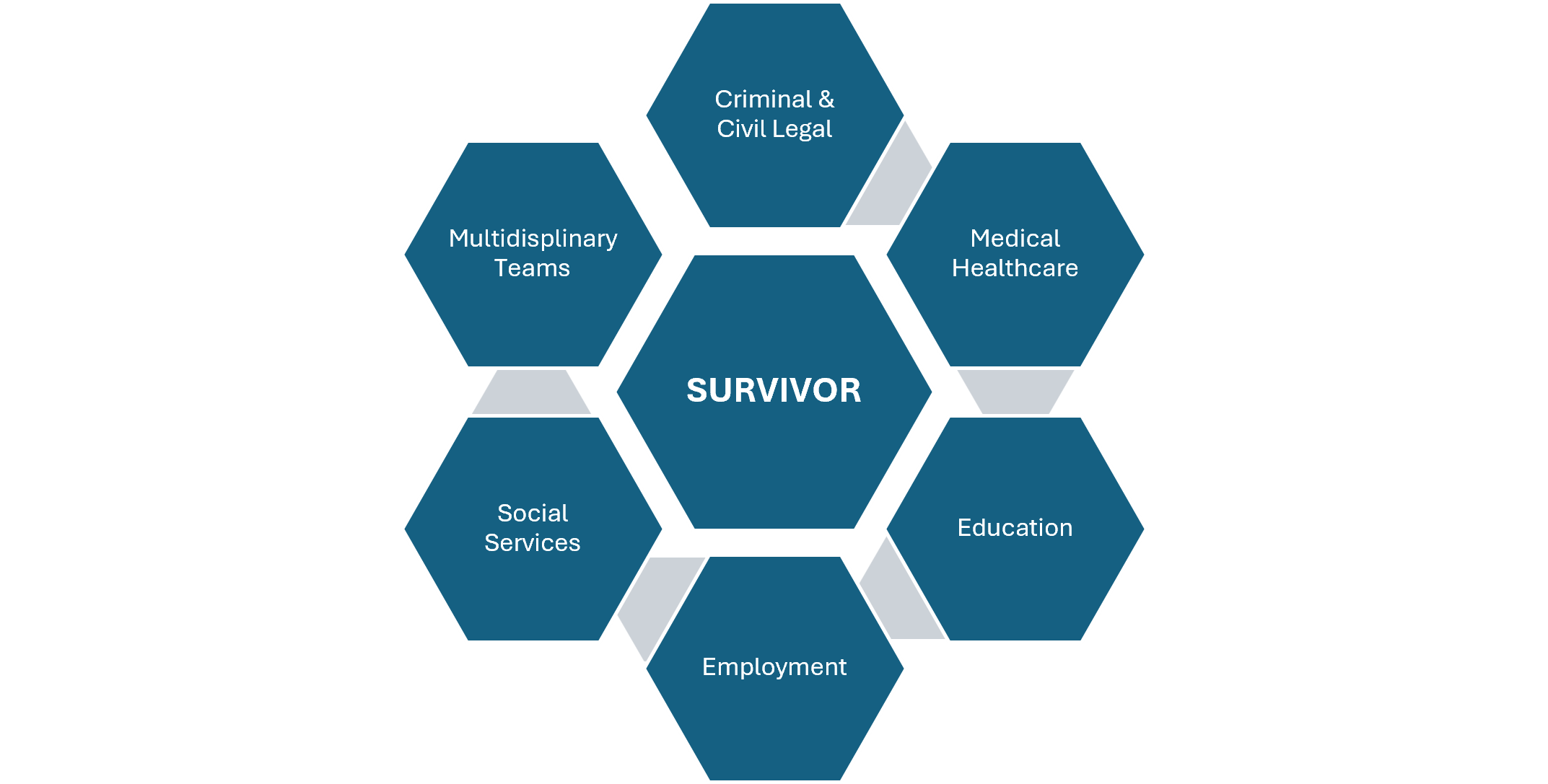 Hexagon cluster with a central hex labeled SURVIVOR and surrounding hexagons labeled Criminal & Civil Legal, Medical Healthcare, Education, Employment, Social Services, and Multidisciplinary Teams.
